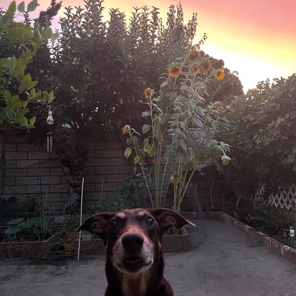 Meet your Posher, Shannon - Picture 2 of 7